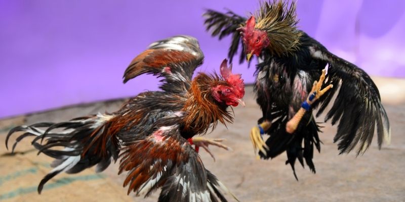 xsmn 90 nổ hũ tiếng anh là gì