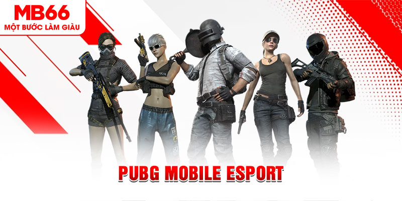 xsmn 90 gà chọi c1 mới nhất