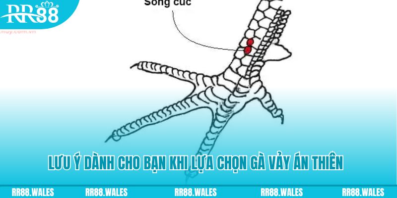 xsmn 90 how to play roulette at casino