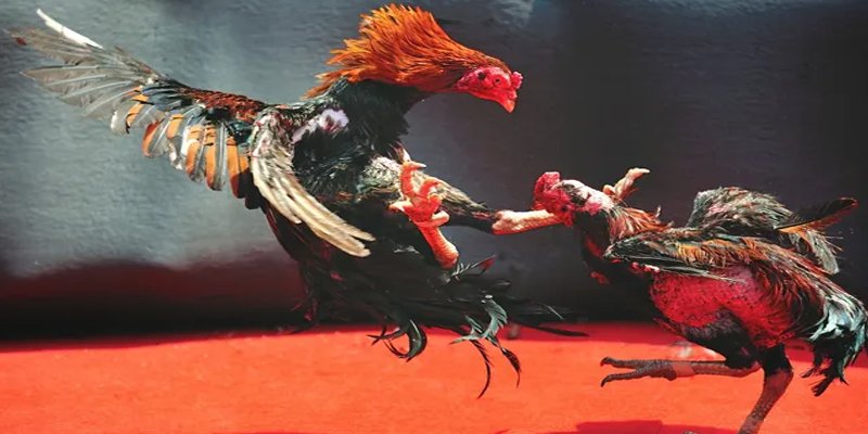 xsmn 90 đăng nhập nổ hũ số 1