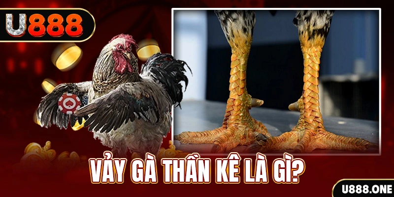 xsmn 90 xổ số miền bắc thứ tư hàng tuần