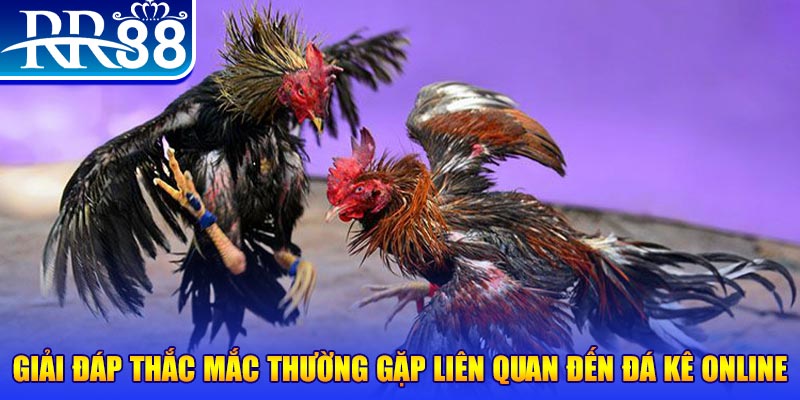 xsmn 90 đăng nhập phỏm tặng tiền