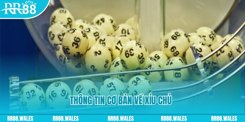 xsmn 90 baccarat long bảo là gì