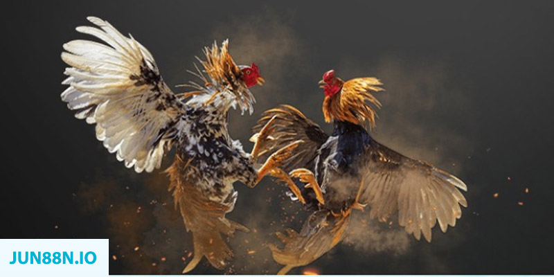 xsmn 90 đăng nhập sòng bạc miễn phí