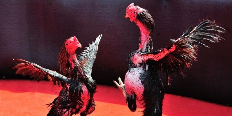 xsmn 90 Spribe Điện Tử