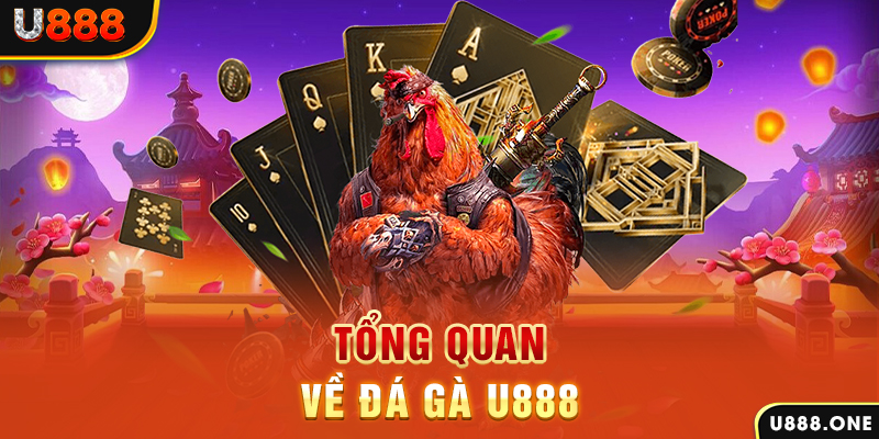 xsmn 90 baccarat có lừa đảo không